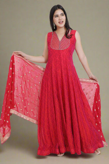 Blush Rani Printed Embroidered Anarkali Gown