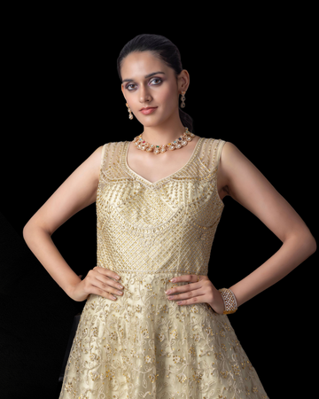 Ivory Gold Butterfly Net Gown with Embellished Layers