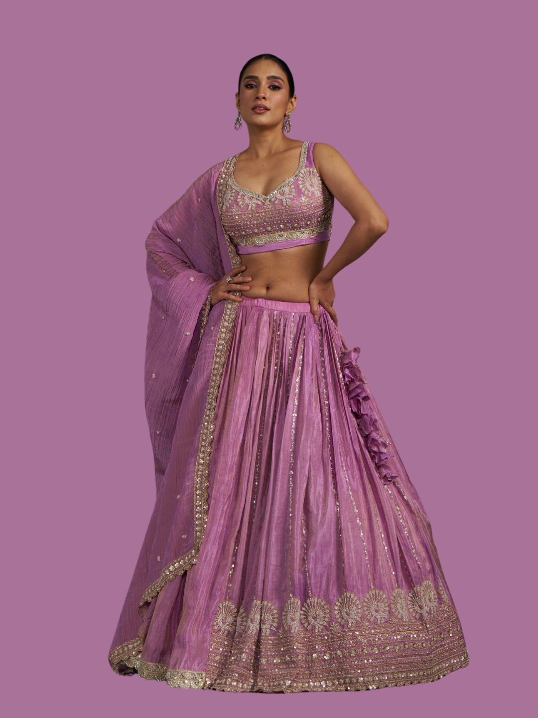 Pure Purple Viscose Banarasi Tissue Lehenga Choli with Four-Side Embroidered Dupatta